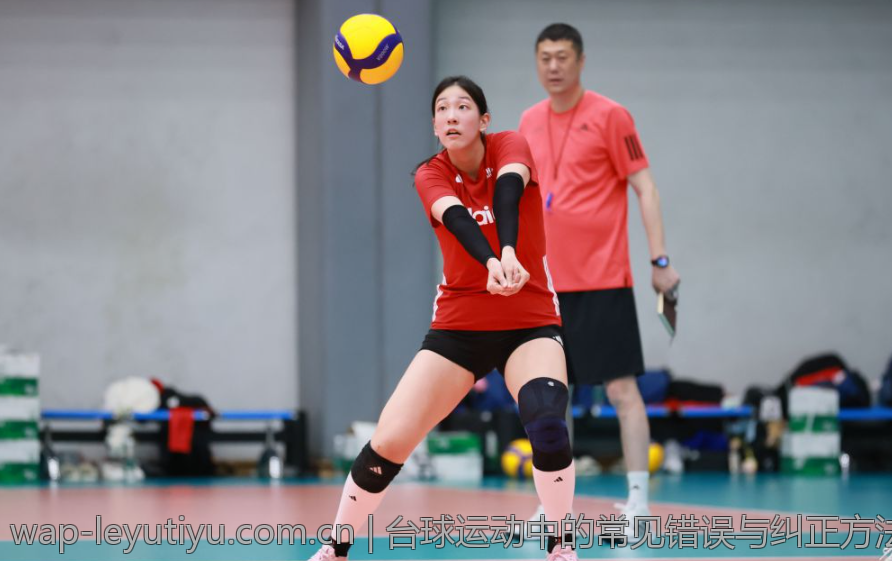 中国国家队在多项运动赛事的综合表现评估