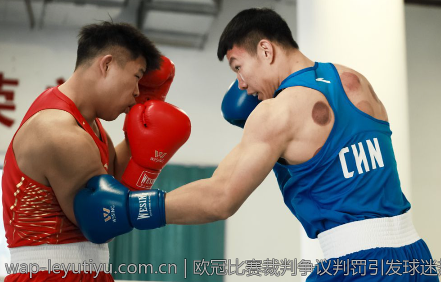 欧冠比赛裁判争议判罚引发球迷热烈讨论